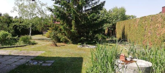 3غرفة بنغالو في Trausdorf an der Wulka, Austria رقم 174955 3