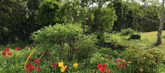 3غرفة بنغالو في Trausdorf an der Wulka, Austria رقم 174955 7