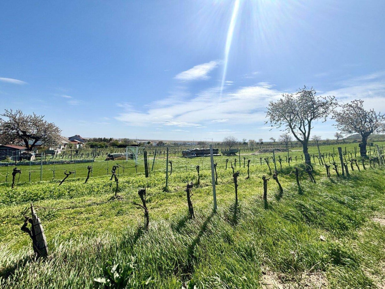 Terrain à Jois, Austria 1680m² No. 164963