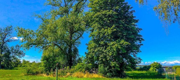 Grundstück in Vorpommern-Rügen, Germany, Nr. 135615 14