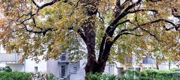 Studio in Regensburg, Germany, Nr. 281753 7