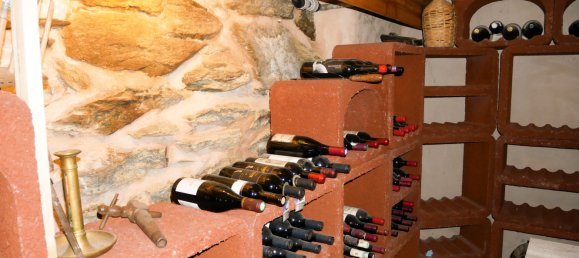 2 bedrooms House in Martigny-Combe, Switzerland No. 309 29