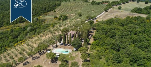 14 bedrooms Commercial property in Torrita di Siena, Italy No. 373678 10