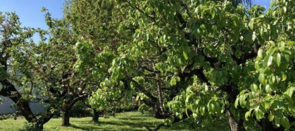  Land in Oberwart, Austria No. 166627 6