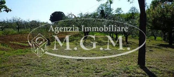 6-salle Maison à Montopoli in Val d'Arno, Italy No. 141009 11