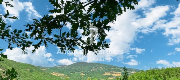 Вилла с 9 спальнями в Баски, Италия № 348644 23