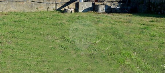 4 bedrooms House in Lordelo, Portugal No. 21574 31