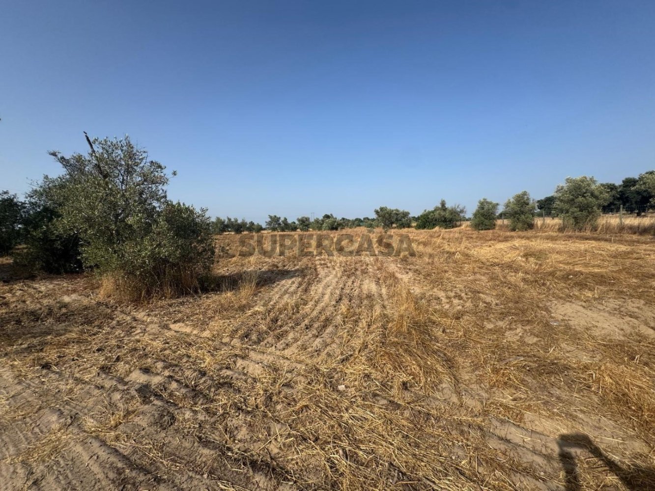 Земельный участок 13500м² в Пиньял Нову, Португалия № 233367