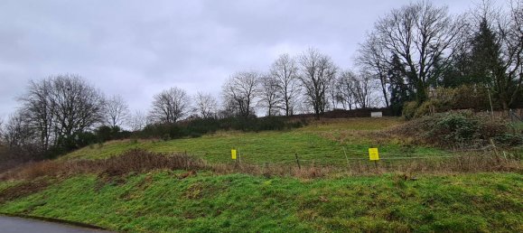  Land in Bernkastel-Wittlich, Germany No. 130297 5