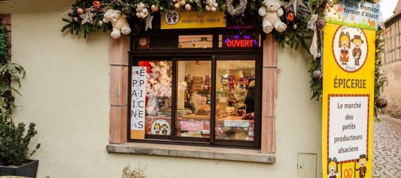 2 rooms Commercial property in Haut-Rhin, France No. 40077 3