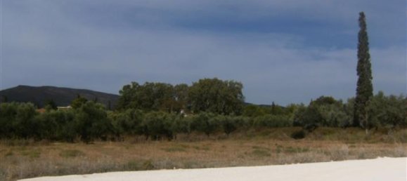  Hotel in Zakynthos, Greece No. 590 3