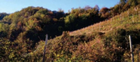 3-Zimmer Haus in Refrontolo, Italy, Nr. 263635 10