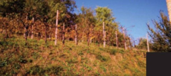 3-Zimmer Haus in Refrontolo, Italy, Nr. 263635 11