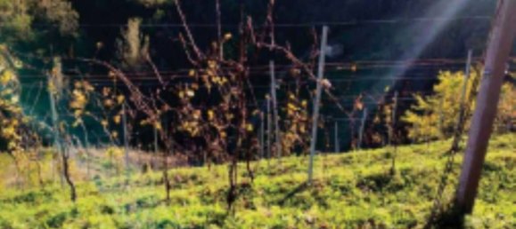 3-Zimmer Haus in Refrontolo, Italy, Nr. 263635 6