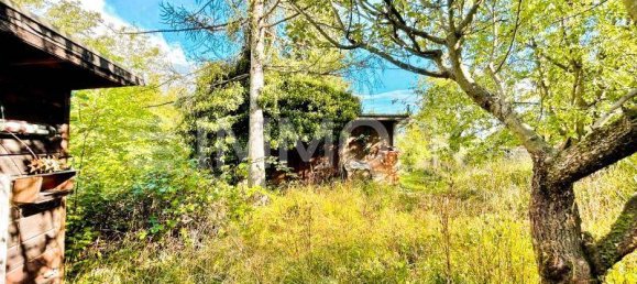  قطعة أرض في Hietzing, Austria رقم 148959 4