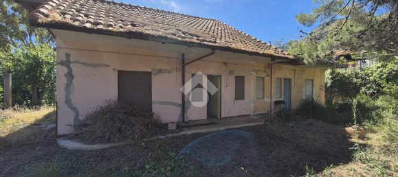 6 chambres Villa à Monreale, Italy No. 82995 2