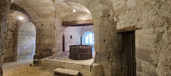 9 bedrooms Castles in Chinon, France No. 79191 28