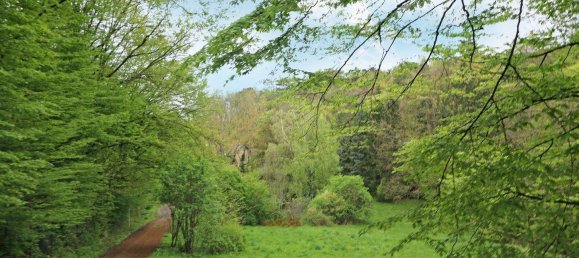  Land in Hinterbruhl, Austria No. 202996 12