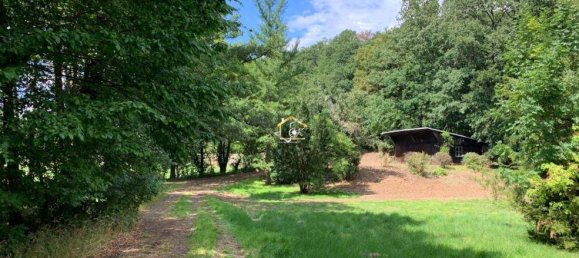  Land in Hinterbruhl, Austria No. 202996 9