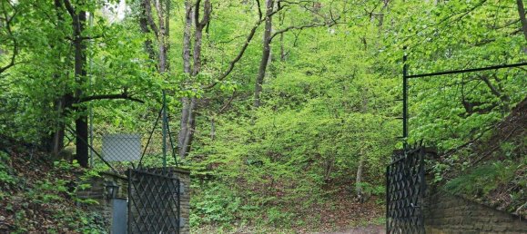  Land in Hinterbruhl, Austria No. 202996 8