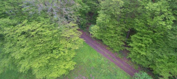  Land in Hinterbruhl, Austria No. 202996 15