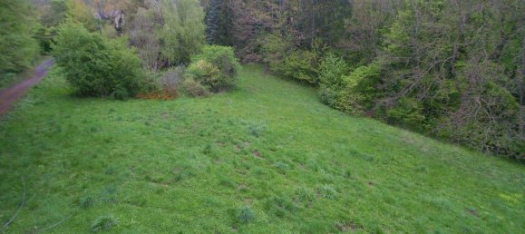  Land in Hinterbruhl, Austria No. 202996 14