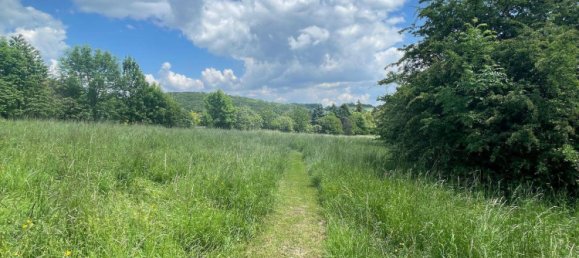 8 rooms Villa in Wienerwald, Austria No. 202403 20