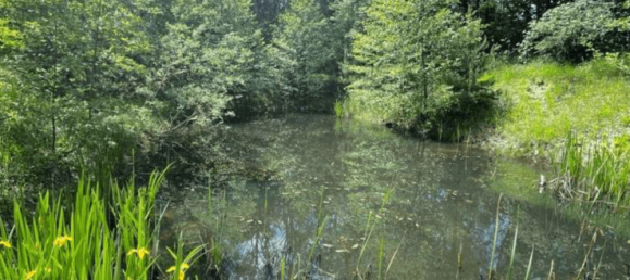 8 rooms Villa in Wienerwald, Austria No. 202403 16