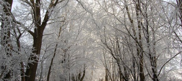 8 rooms Villa in Wienerwald, Austria No. 202403 22