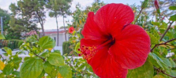 6 bedrooms House in Denia, Spain No. 134491 49