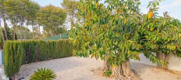 6 bedrooms House in Denia, Spain No. 134491 46