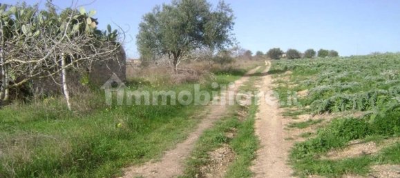 3 Schlafzimmer Haus in Noto, Italy, Nr. 67910 3