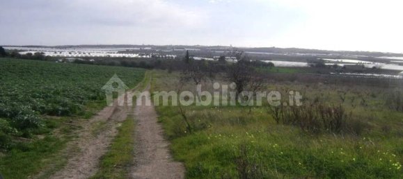 3 Schlafzimmer Haus in Noto, Italy, Nr. 67910 18