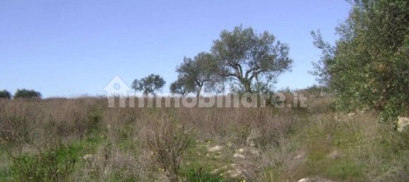 3 Schlafzimmer Haus in Noto, Italy, Nr. 67910 19