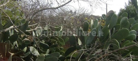 3 Schlafzimmer Haus in Noto, Italy, Nr. 67910 4