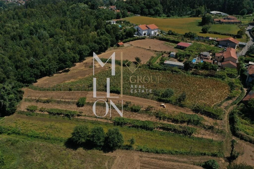 Замки и поместья с 4 спальнями в Авинтеш, Португалия № 36843