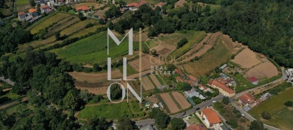 Замки и поместья с 4 спальнями в Авинтеш, Португалия № 36843 6