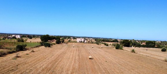 2 bedrooms House in Campos, Spain No. 163357 8