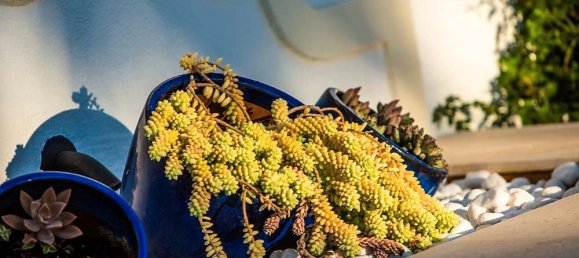 7 bedrooms House in Cadiz, Spain No. 27511 24