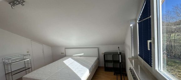 1 chambre Appartement à Baden-Wurttemberg, Germany No. 13534 13