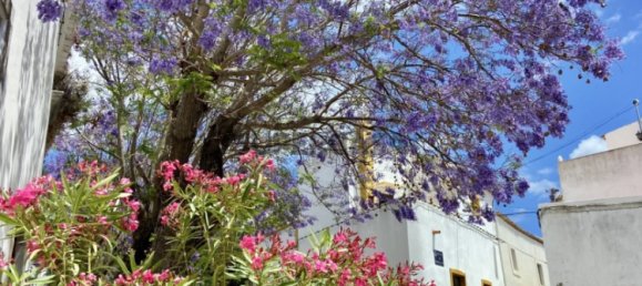 Apartamento de 2 dormitorios en Faro, Portugal No. 161373 19