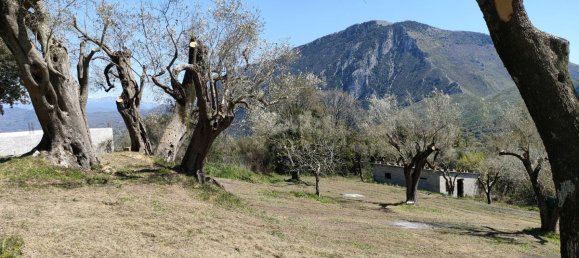 5000m² Land in Centola, Italy No. 255218 3
