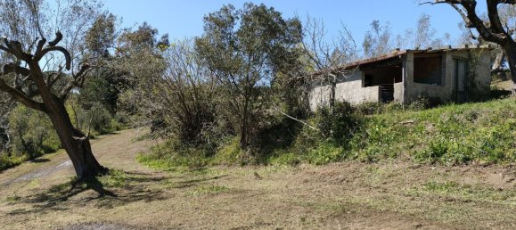 5000m² Land in Centola, Italy No. 255218 2