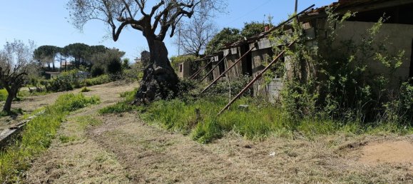 5000m² Land in Centola, Italy No. 255218 4