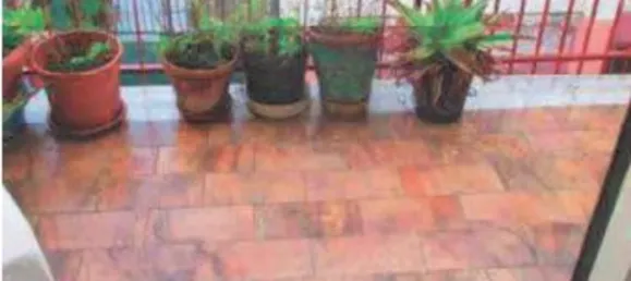 6-salle Appartement à Palermo, Italy No. 51817 18