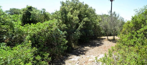 Terreno de 1 divisão em Morciano di Leuca, Italy N.º 111774 14