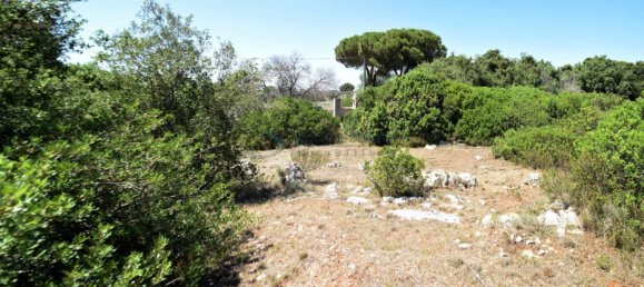 Terreno de 1 divisão em Morciano di Leuca, Italy N.º 111774 13