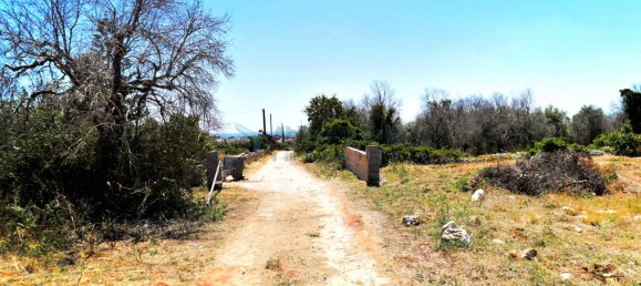 Terreno de 1 divisão em Morciano di Leuca, Italy N.º 111774 4