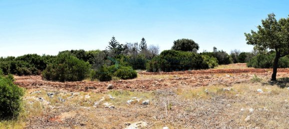 Terreno de 1 divisão em Morciano di Leuca, Italy N.º 111774 5