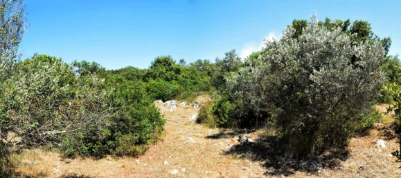 Terreno de 1 divisão em Morciano di Leuca, Italy N.º 111774 12